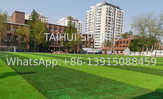 환경 친화적 인 비 독성 자외선 보호 인위 잔디 채용용 TPE 고무 알갱이